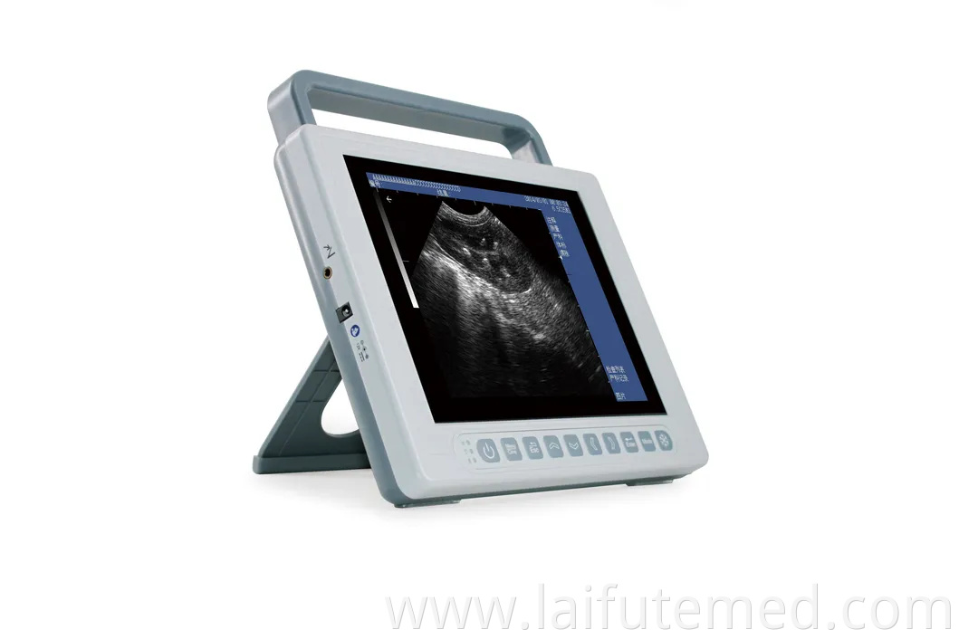 Portable Animal Veterinary Ultrasound for Medical Diagnostic Imaging Center Vet Using